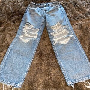 AE Strigid Baggy Straight Jeans